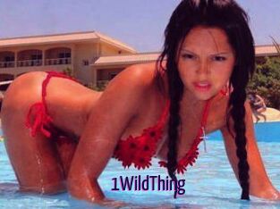 1WildThing