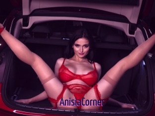 AnisiaCorner