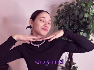 Accagammell