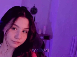 Adellbush