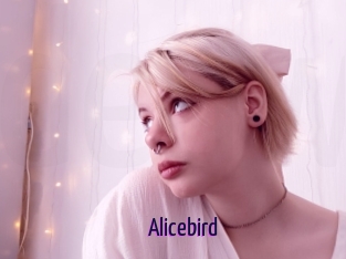Alicebird