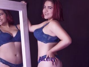 Alicerey