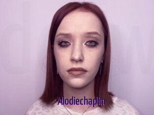 Alodiechaplin