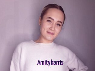 Amitybarris