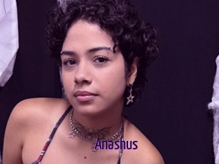 Anashus