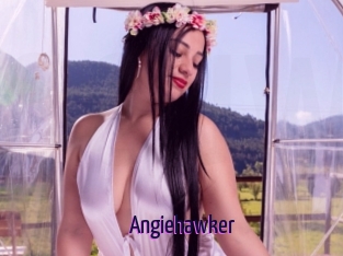 Angiehawker