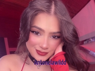 Antonelawildd