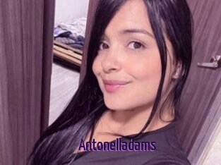 Antonelladams