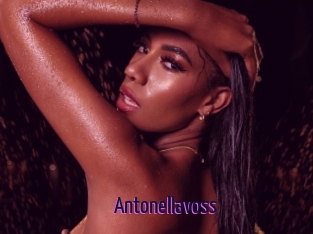 Antonellavoss