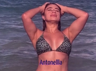 Antonellla