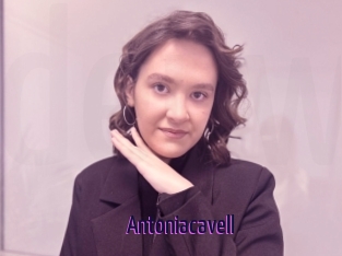 Antoniacavell