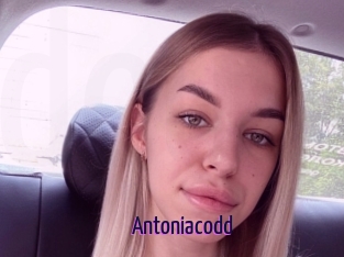 Antoniacodd