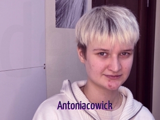 Antoniacowick