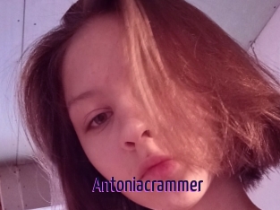 Antoniacrammer