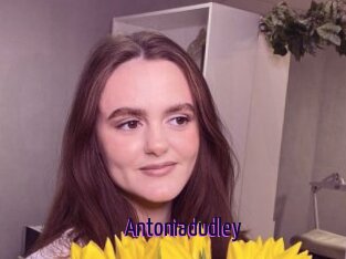 Antoniadudley