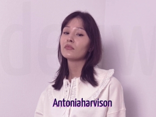 Antoniaharvison