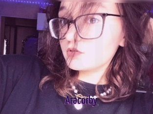 Aracorby