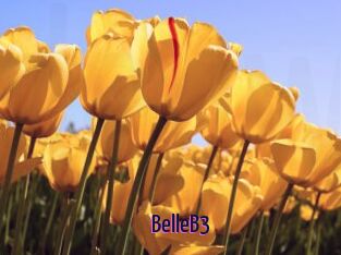 BelleB3