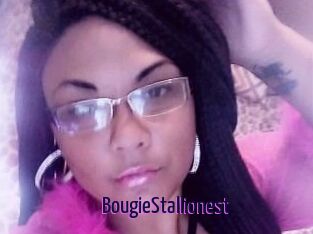 BougieStallionest