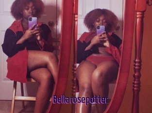 Bellarosepotter