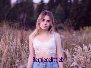 Berniecelittleb