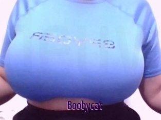 Boobycat