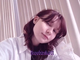 Breebaskett