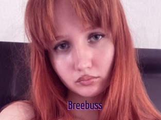 Breebuss