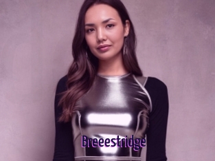 Breeestridge