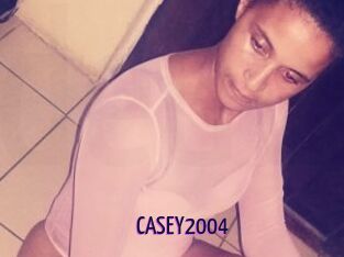CASEY2004