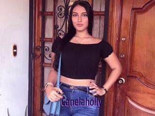 Canelaholly