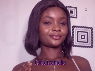 Cartercamelia