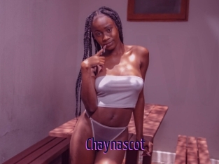 Chaynascot