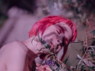 Citty
