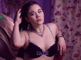 Cuccili