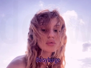 Daisyburge