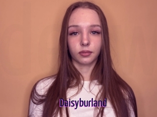Daisyburland