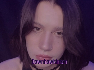 Dawnhawkinson