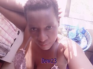 Dew23