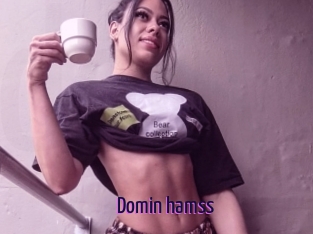 Domin_hamss