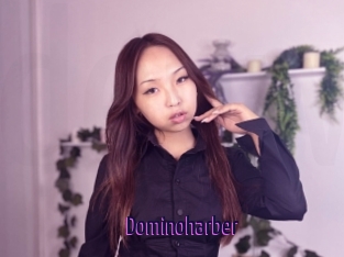 Dominoharber