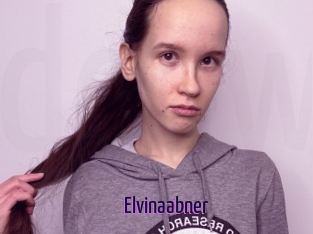 Elvinaabner