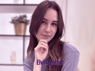 Elvinagomer