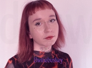 Elwinebuskey
