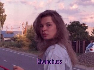 Elwinebuss