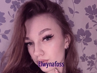 Elwynafoss
