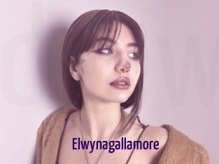 Elwynagallamore