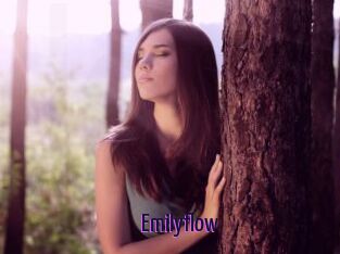 Emilyflow