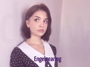 Engelgearing