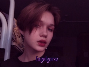 Engelgorse